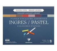Clairefontaine 96589C Ingres Pastel bloc spiralé 25F 36x48cm 130g papier vergé Assortiment Vif G