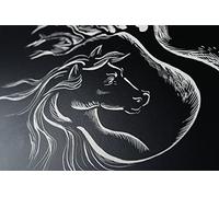 Clairefontaine 96800C Pochette Carte À Gratter - 2 Feuilles Carte Rigide Noire Contrecollée sur un Carton - 24x32 cm 520g - Idéal pour le Dessin en Négatif Noir et Blanc