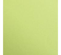Clairefontaine 97352C Paquet Papier Maya - 25 Feuilles Papier Dessin Lisse Vert Mousse - A4 21x29,7 cm 120g - Idéal pour le Dessin et les Activités Créatives
