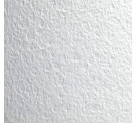 Clairefontaine 975058C Paquet de Feuilles Flamboyant - 10 Feuilles Papier Aquarelle Blanc 50% Coton et 50% Cellulose - Grain Extravagant - 50x65 cm 300g