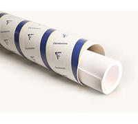 Clairefontaine 975166C Rouleau PaintON Multi-techniques - Papier Dessin Multi-techniques au Grain Très Léger - Blanc - 1,3x10 m 250g