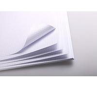 Clairefontaine 975187C Paquet Bristol - 20 Feuilles Papier Bristol Quadrillé Petits Carreaux Blanc Extra Lisse - A3 29,7x42 cm 320g - Idéal pour le Dessin Technique à la Plume et le Maquettisme