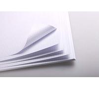 Clairefontaine 975188C Paquet Bristol - 25 Feuilles Papier Bristol Quadrillé Petits Carreaux Blanc Extra Lisse - 50x65 cm 320g - Idéal pour le Dessin Technique à la Plume et le Maquettisme