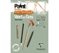 Painton Vert De Gris Bloc Collé 30F A2 250G - Clairefontaine