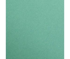 Clairefontaine 97951C Paquet Papier Maya - 25 Feuilles Papier Dessin Lisse Vert Sapin - A1 59,4x84 cm 270g - Idéal pour le Dessin et les Activités Créatives
