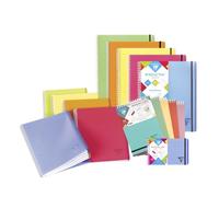 Clairefontaine - Cahier A4+ +Proactiv'book + Carnet&bloc Fiches de Révision