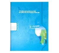 Cahier travaux pratiques piqures Clairefontaine 17x22 ( grand carreaux 70g + dessin) 48p G