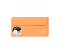 Clairefontaine Enveloppes auto-adhésives 5495C DL 11x22 cm 120 g/m² Paquet 20 Clémentine Gamme Pollen