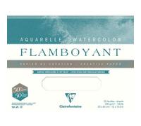 Clairefontaine Flamboyant Lot 10f 50x65cm 300g