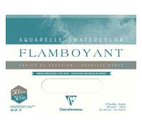 Clairefontaine Flamboyant Lot 10f 75x105cm 300g