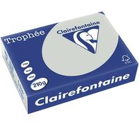 Clairefontaine Gris clair A4 Papier couleur 210 g/m² (250 feuilles)