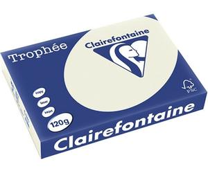 Clairefontaine Gris perle A4 Papier couleur 120 g/m² (250 feuilles)
