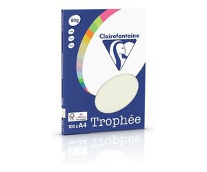 Clairefontaine Gris perle A4 Papier couleur 80 g/m² (100 feuilles)
