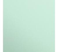 Clairefontaine Lot 25f Maya A1 270g Vert Menthe