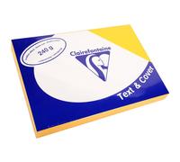 Clairefontaine Lot De 10 Pqts De 100 Couvertures Reliure Text&cover Cuir 240g A4 210x297 Mm Jaune Tournesol