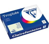 Clairefontaine Papier à copier 1051PC A4 160g vert citron 250Fl