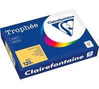 Clairefontaine Papier à copier 1206PC A4 120g jaune d'or 250Fl