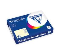 Clairefontaine Papier A4 couleur Trophée - 80 g - Ramette de 500 feuilles - Ivoire Pastel