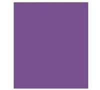 Clairefontaine Papier cadeau 'kraft', violet G