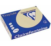 Ramette de papier - A4 - Chamois - Pastel - 120g - Impression - 250 feuilles - C