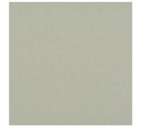 Clairefontaine Paq 25f Ingres-Pastel 130g 50x65cm Acier