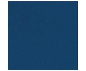 Clairefontaine Paq 25f Ingres-Pastel 130g 50x65cm Bleu Foncé