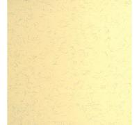 Clairefontaine Paq 25f Ingres-Pastel 130g 50x65cm Crème Marbré