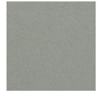 Clairefontaine Paq 25f Ingres-Pastel 130g 50x65cm Gris Foncé