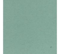 Clairefontaine Paq 25f Ingres-Pastel 130g 50x65cm Vert D'eau