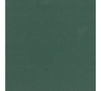 Clairefontaine Paq 25f Ingres-Pastel 130g 50x65cm Vert Profond