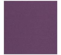 Clairefontaine Paq 25f Ingres-Pastel 130g 50x65cm Violine