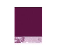 Clairefontaine Paquet 5 Feuilles Pastelmat 70x100 Cm 360g Lie De Vin