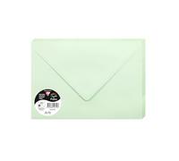 Clairefontaine Paquet de 20 grandes enveloppes C5 16,2×22,9 cm Vertes 120 g/m² Pollen