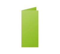 Clairefontaine Pollen DL - Vert intense - 106 x 213 mm - 210 g/m² - 25 carte(s) cartes à demi-pli teintée