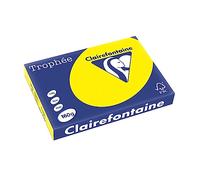Clairefontaine - Réf. 1039C - 1000 feuilles de papier couleur au format A3 - Trophée 160 g/m² - Carton contenant 4 ramettes de 250 feuilles - Couleur jaune soleil