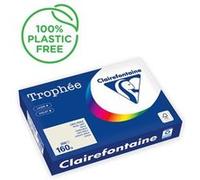 Clairefontaine Trophée - 209 microns - gris perle - A4 (210 x 297 mm) - 160 g/m² - 250 feuille(s) zéro plastique - papier teinté G