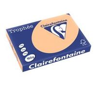 Clairefontaine 410120C - Trousse Scolaire Plate Turquoise Effet irisé 22x11 cm en Véritable Cuir d'Agneau
