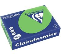 Clairefontaine Vert d'herbe A4 Papier couleur 210 g/m² (250 feuilles)