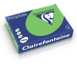 Clairefontaine Vert herbe A4 Papier couleur 160 g/m2 (250 feuilles)