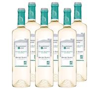 CLAIREMENT Blanc de Roche Mazet - Blanc de Blancs - Vin de Cépage Sauvignon - IGP Pays d’Oc - Lot de 6 bouteilles x 75 cl