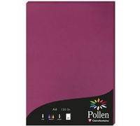 Clairefontaine Papier Pollen 4206C A4 120 g/m² - Étui 50 feuilles - Framboise