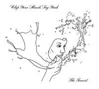 Clap Your Hands Say Yeah – The Tourist – Vinyle 12"