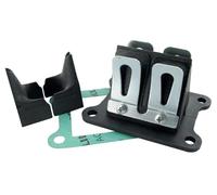 Clapet 50 a boite polini carbone pour derbi 50 senda, gpr-gilera 50 smt, rcr (euro 2, euro 3) (213.0051)