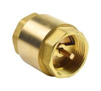 Clapet Anti-Retour 1-1/4 Pouces Laiton Fileté Femelle NPT pour Pompe à Eau 200 PSI Installation Verticale