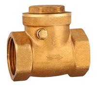 Clapet anti-retour 1 pièce DN25, filetage interne, clapet anti-retour en laiton 232PSI, empêche le reflux d'eau