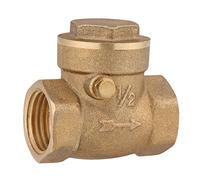 Clapet anti-retour à ailettes en laiton DN15 1/2BSP avec clapet anti-retour à sens unique, 232 PSI, taraudé, pour éviter le reflux deau