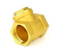 Clapet anti-retour à bascule BSPP 1 pouce, empêche le reflux d'eau, compteur en laiton doré DN25/15/20/32/40/50 avec déflecteur de vidange à simple effet(DN20)
