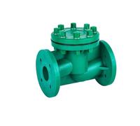 Clapet Anti-retour À Bride De Levage FRPP, Vanne Chimique En Plastique, Clapet Anti-retour FRPP(DN65)