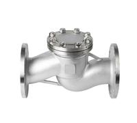 Clapet anti-retour à bride en acier inoxydable H41W-16P 3" DN80