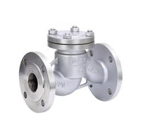 Clapet anti-retour à bride en acier inoxydable H41W-16P DN50 2"